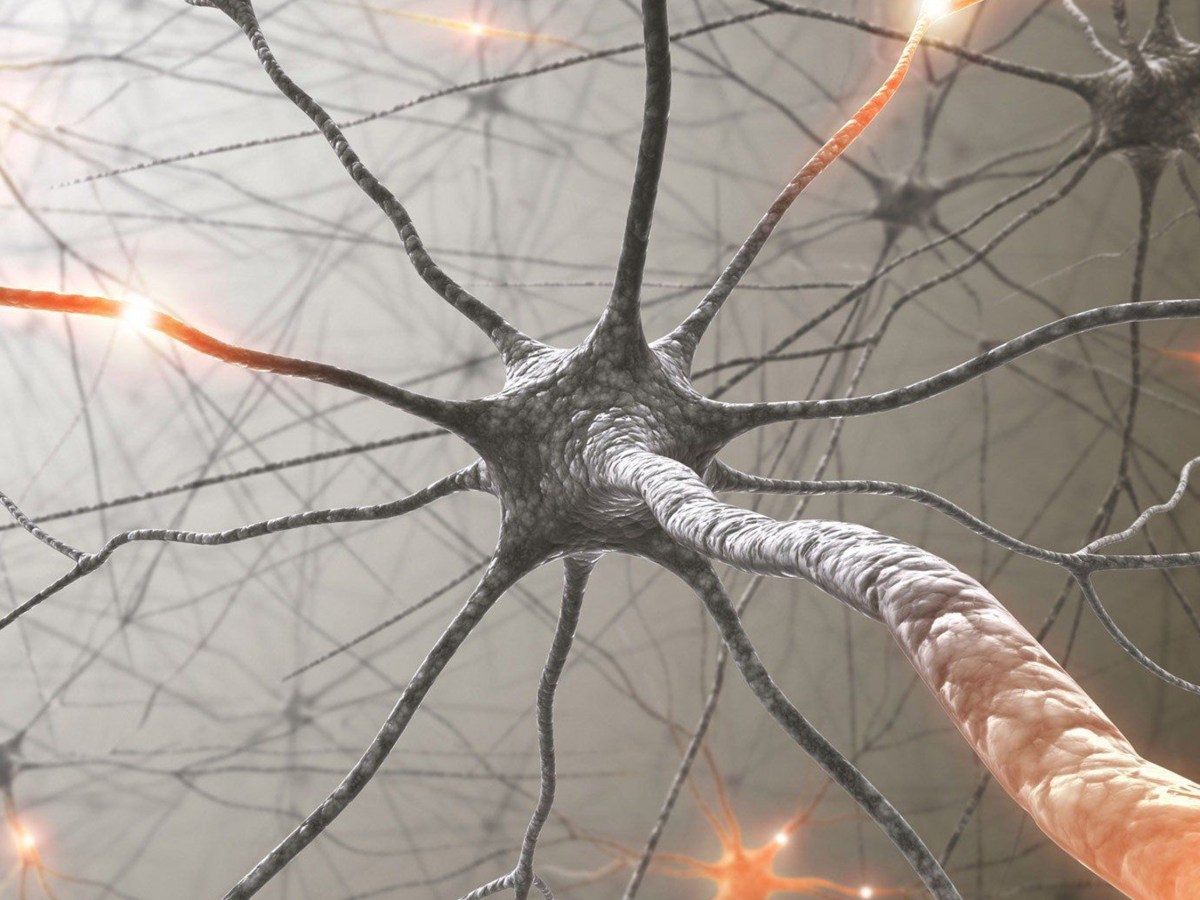 Communication sine qua&nbsp;non