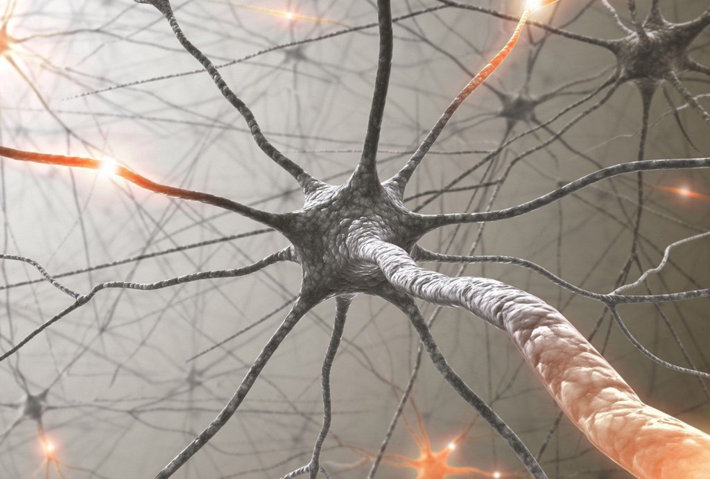 Communication sine qua&nbsp;non